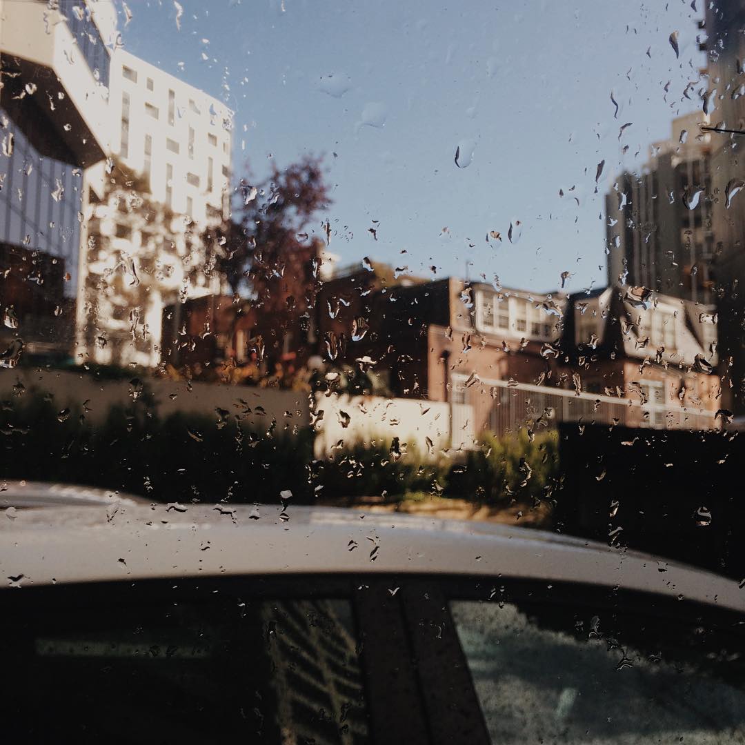 auckland rain