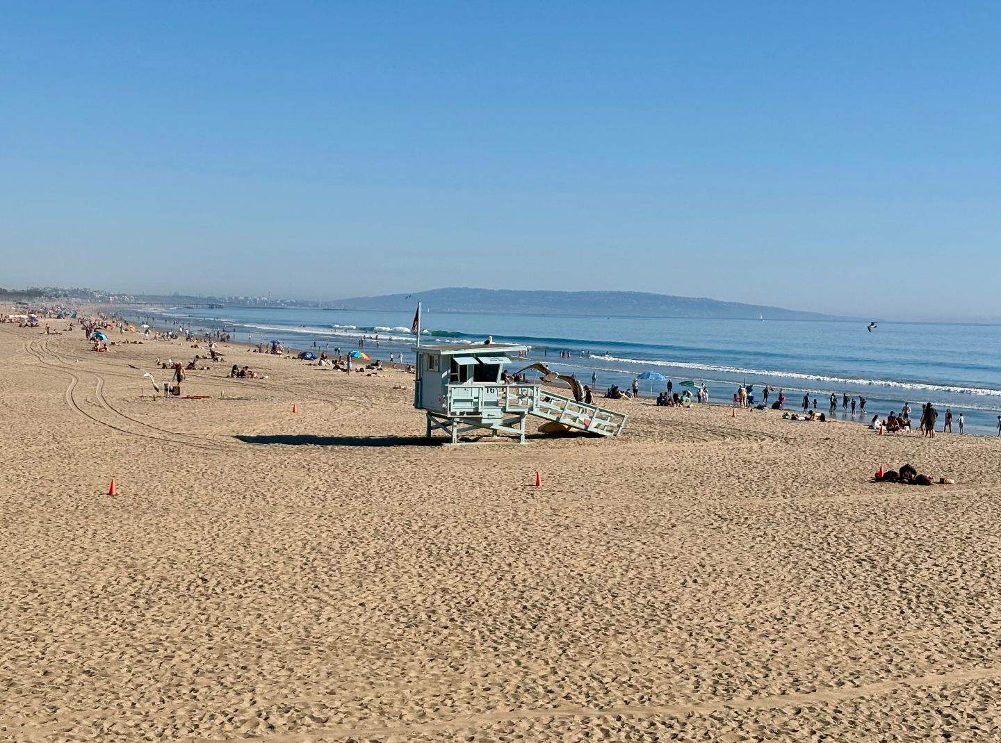 beach watcher