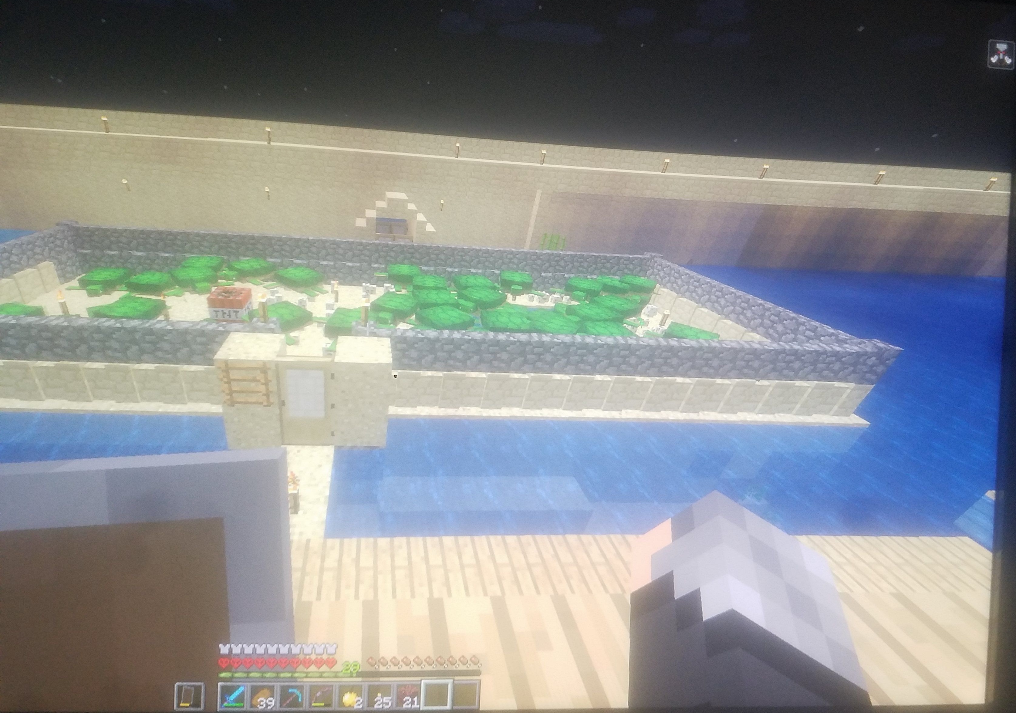 A blurry screenshot of a Minecraft base with turtles.