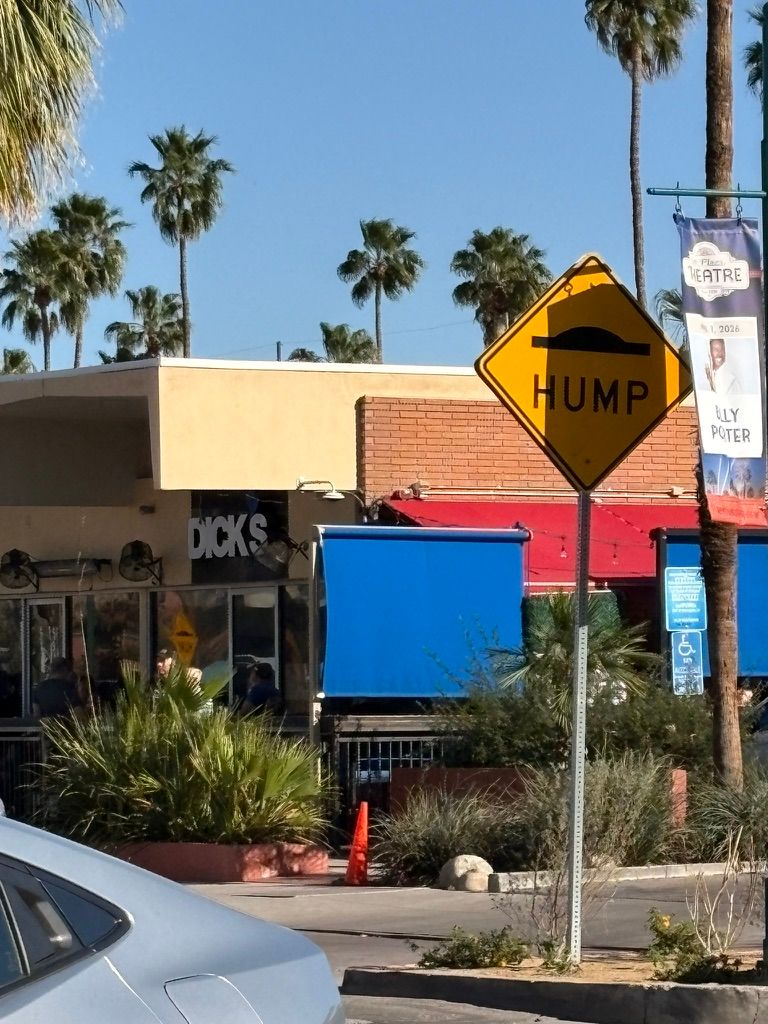 dicks hump