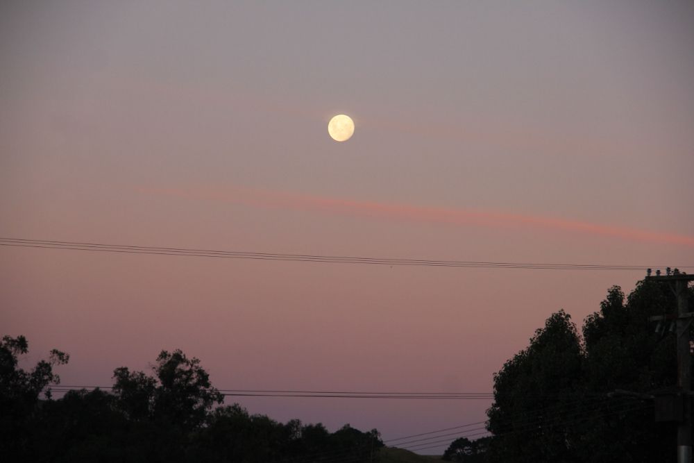 evening moon