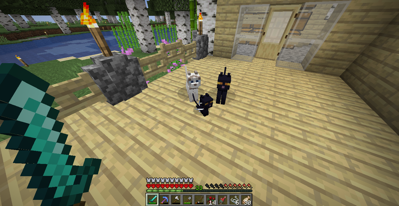Three Minecraft cats