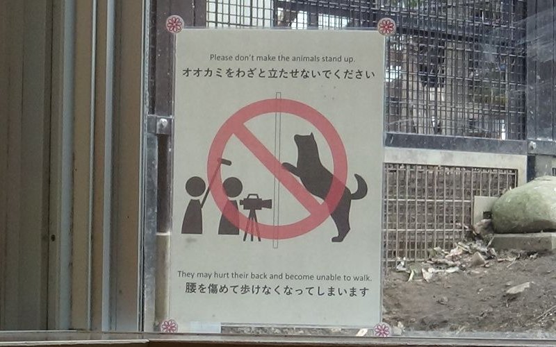 no walk