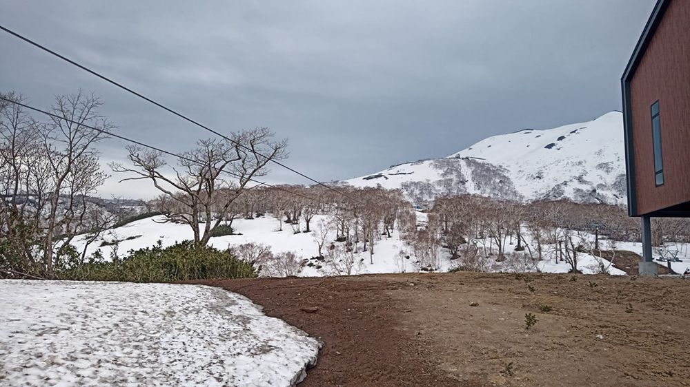 snowy wasteland
